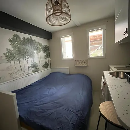 Box, Petite Studette Bord De